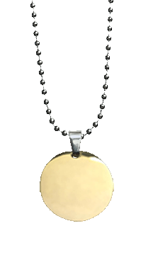 Gold Stainless Steel Blank Disc